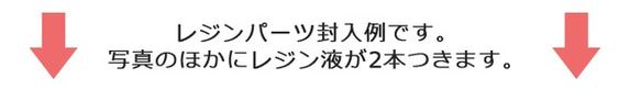 レジンセット UVレジン液2本とお楽しみレジンパーツのお得な福袋セット 2枚目の画像