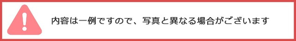 レジンセット UVレジン液2本とお楽しみレジンパーツのお得な福袋セット 4枚目の画像