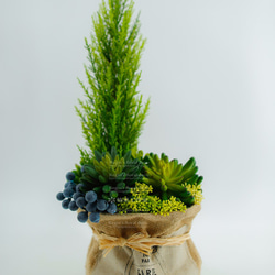 人造花飾-麻布袋藍莓果多肉植物小品 第1張的照片