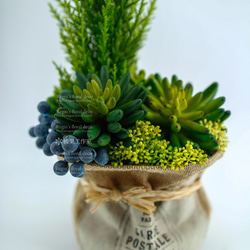人造花飾-麻布袋藍莓果多肉植物小品 第2張的照片