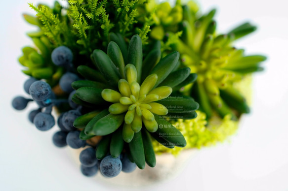 人造花飾-麻布袋藍莓果多肉植物小品 第3張的照片