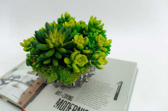 人造花飾-刺蝟陶盆多肉植物 第2張的照片