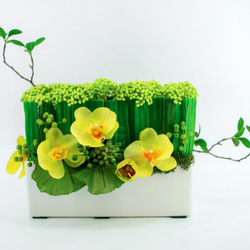 人造花飾-長蘭葉樹枝黃蝴蝶蘭白盆花飾 第1張的照片