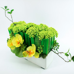 人造花飾-長蘭葉樹枝黃蝴蝶蘭白盆花飾 第2張的照片