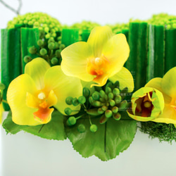人造花飾-長蘭葉樹枝黃蝴蝶蘭白盆花飾 第3張的照片