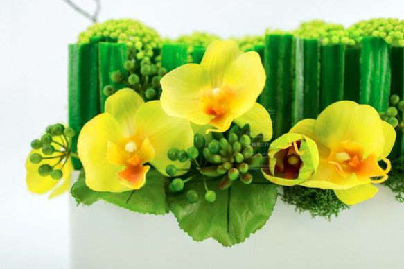 人造花飾-長蘭葉樹枝黃蝴蝶蘭白盆花飾 第3張的照片
