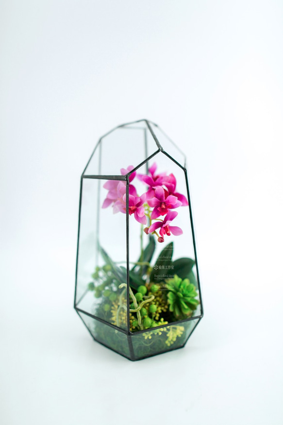 人造花飾-長型溫室玻璃系列迷你蝴蝶蘭花飾 第1張的照片