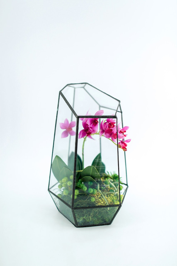 人造花飾-長型溫室玻璃系列迷你蝴蝶蘭花飾 第2張的照片