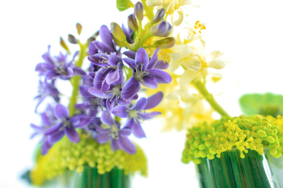 人造花飾-玻璃水蠋葉藍果實紫/白色風信子花飾 第4張的照片