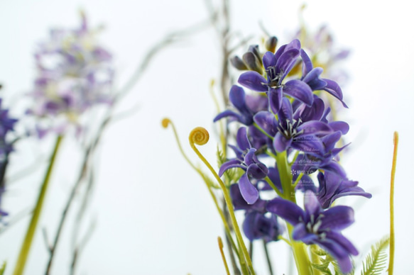 人造花飾-風信子尤佳球藍果實白盆花飾 第4張的照片