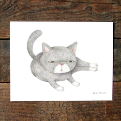 「臭い猫を飼いたい」猫イラストポストカードグループB（8枚/枚） 5枚目の画像