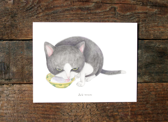 「臭い猫を飼いたい」猫イラストポストカードグループB（8枚/枚） 6枚目の画像