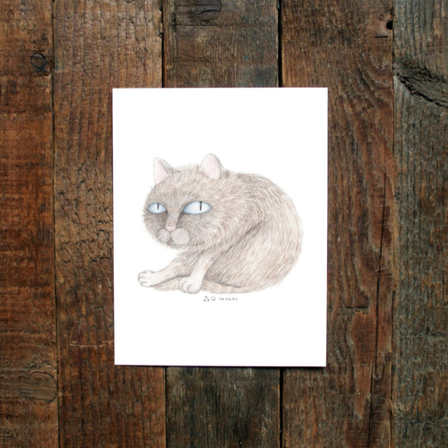 臭い猫を飼いたい」猫イラストポストカードグループB（8枚/枚