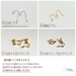 ★ジンベエザメ ピアスorイヤリング -20210421-2- 4枚目の画像