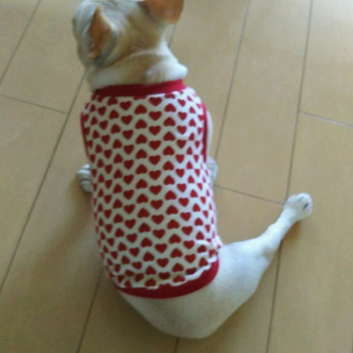 犬服 フレンチブルドッグ服 ハート柄 タンクトップ ペット服