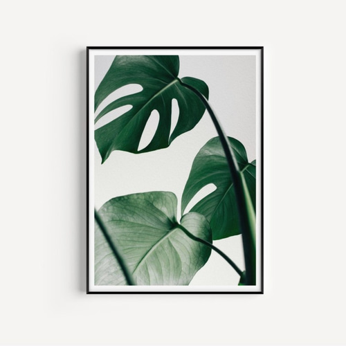 北欧　女性　額絵　額縁　植物画　ポスター　検）モモナチュラル　イデー　アクタス 北欧 女性 額絵 額縁 植物画 ポスター 検）モモナチュラル
