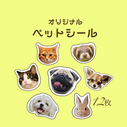 ペットシール12枚/ 4㎝、3㎝/耐水性 1枚目の画像