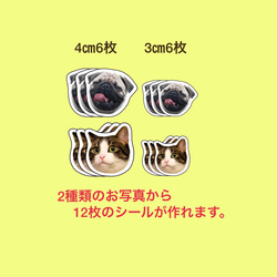 ペットシール12枚/ 4㎝、3㎝/耐水性 4枚目の画像