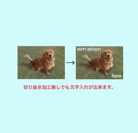 文字入りペットシール/サイズと枚数が指定できます/耐水性 4枚目の画像