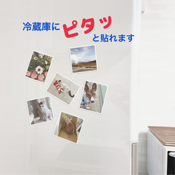 写真風マグネットシート6枚セット/新商品！ 2枚目の画像