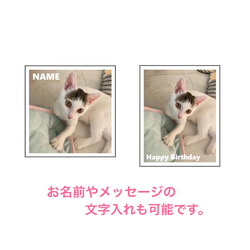 写真風マグネットシート6枚セット/新商品！ 5枚目の画像