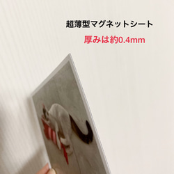 写真風マグネットシート6枚セット/新商品！ 7枚目の画像