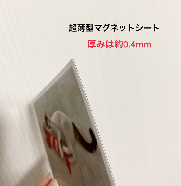 写真風マグネットシート6枚セット/新商品！ 7枚目の画像