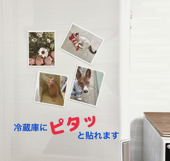 写真風マグネットシート4枚セット/新商品 2枚目の画像