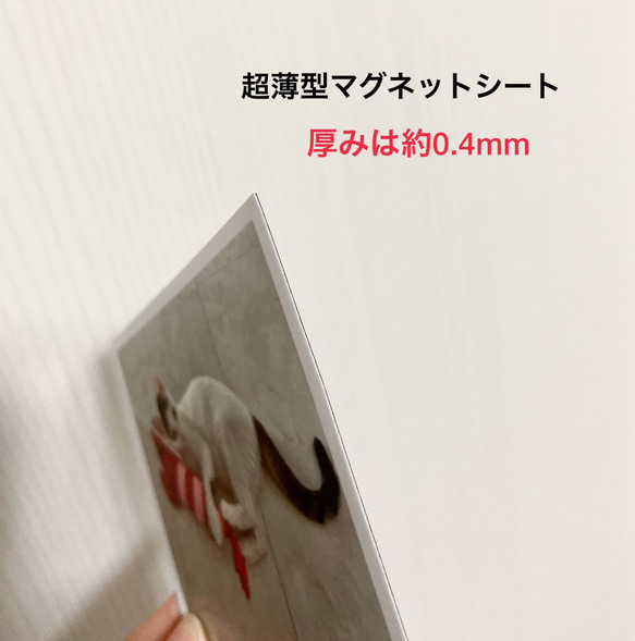 写真風マグネットシート4枚セット/新商品 7枚目の画像