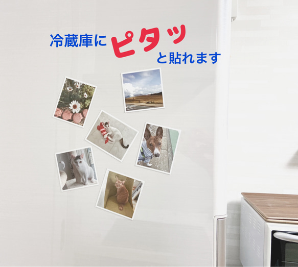 写真風マグネットシート1枚/新商品！ 2枚目の画像