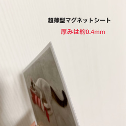 写真風マグネットシート1枚/新商品！ 7枚目の画像