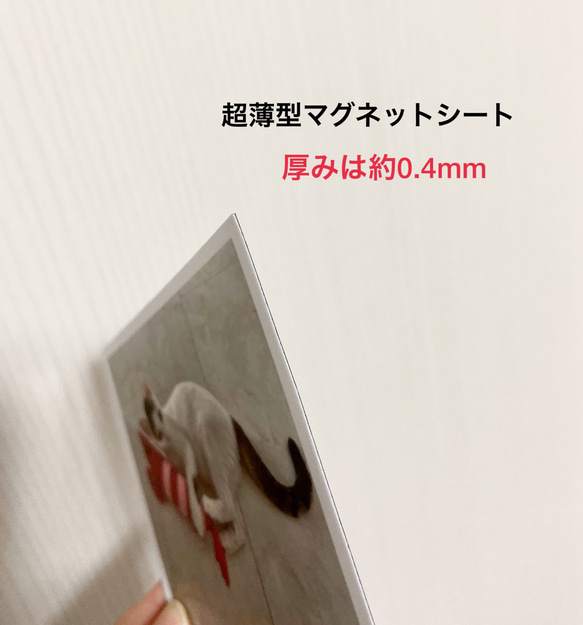 写真風マグネットシート1枚/新商品！ 7枚目の画像