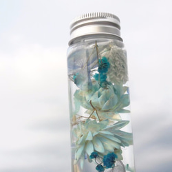 與實花||水色煙花 浮游花 乾燥花 不凋花 花罐 花瓶 擺設 手作 婚禮小物 第5張的照片