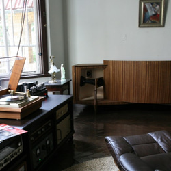 うんてい ブレキエーション スラックライン 鉄棒 室内 遊具