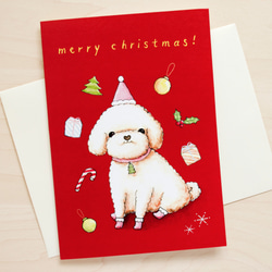 <聖誕節>Poodle貴賓犬/ 玩具貴婦狗-聖誕卡1-連信封 第1張的照片