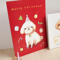 <聖誕節>Poodle貴賓犬/ 玩具貴婦狗-聖誕卡1-連信封 第2張的照片