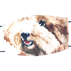 Dr Piggy 小櫻桃紅貴賓犬口罩 (台灣油畫小品印） 第3張的照片