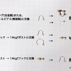 14kgf的綠松石和化石珊瑚（化石珊瑚）穿孔（耳釘可變） 第9張的照片