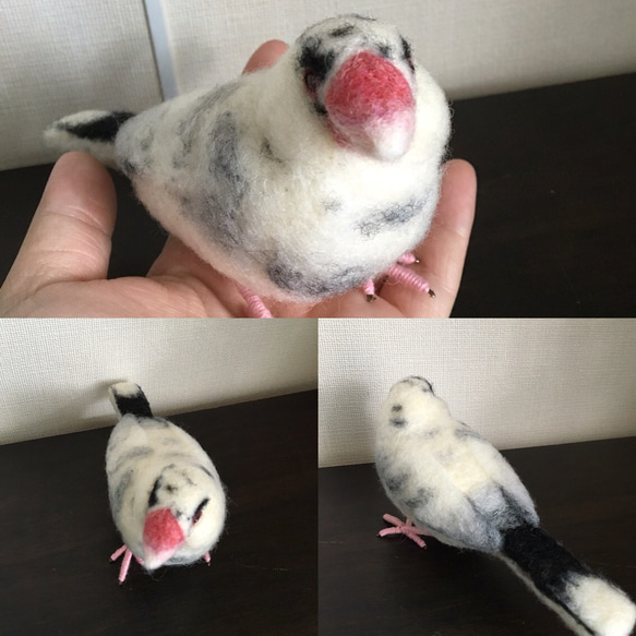 オーダー品 文鳥 1枚目の画像