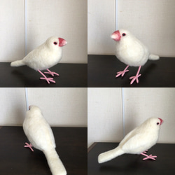 オーダー品 文鳥 2枚目の画像