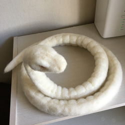 バジリスク 白蛇 2枚目の画像