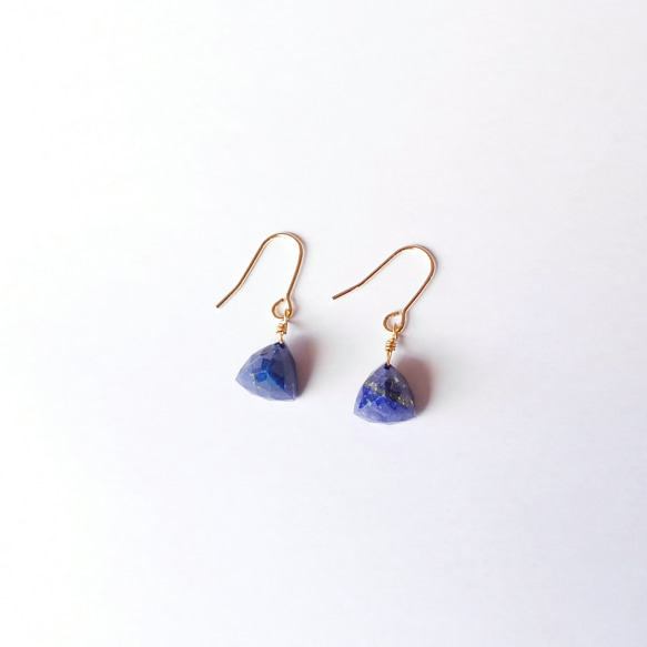 lapis lazuli × tetra : ピアス 1枚目の画像