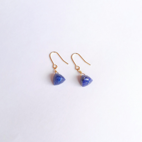 lapis lazuli × tetra : ピアス 4枚目の画像