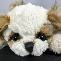 ペキニーズの仔犬 ぬいぐるみ ゴリ 通販 12065040｜Creema(クリーマ)