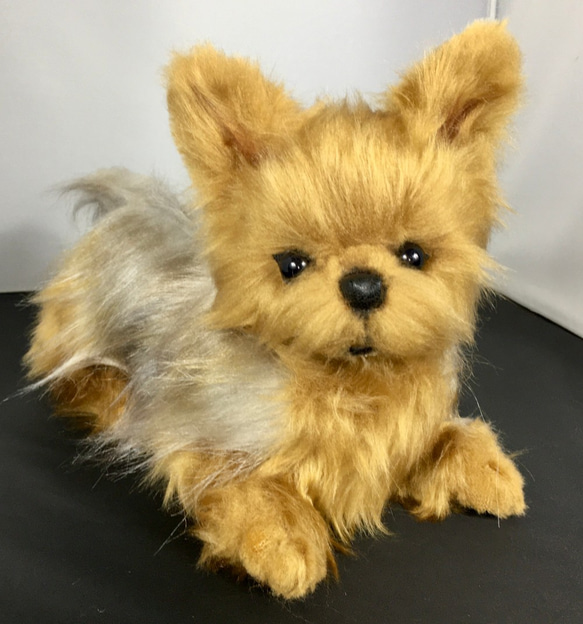 作家さま　アーティストベア　ヨークシャテリア Yasuko Mizutani (@yasukomizutani) • Instagram photos and videos