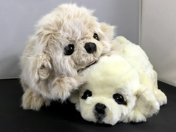 ペキニーズの仔犬 ぬいぐるみ ゴリ 通販 12065040|Creema(クリーマ) ペキニーズの仔犬 ぬいぐるみ ゴリ 通販 12065040|Creema(クリーマ)