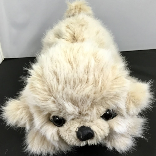 ペキニーズの仔犬 ぬいぐるみ ゴリ 通販 12065040｜Creema(クリーマ)
