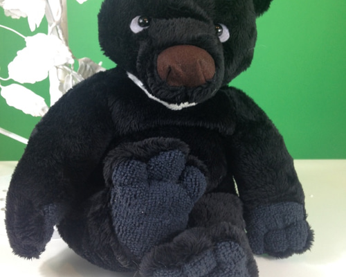熊　胆のう　月の輪熊 bear2-640x426.jpg