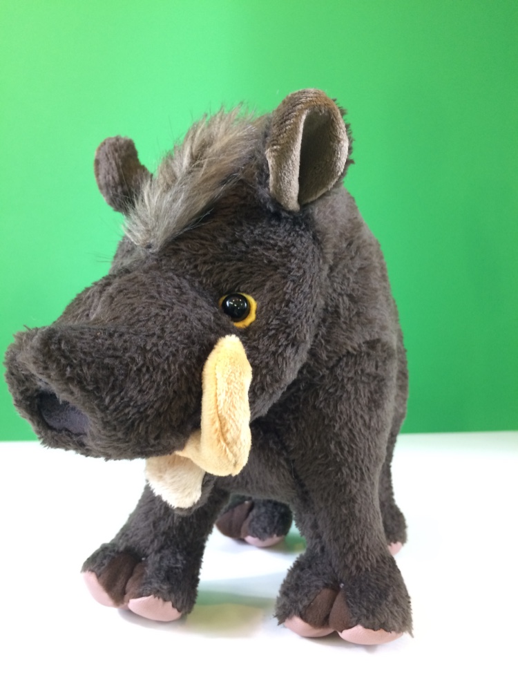 イノシシ（2019年に向け）