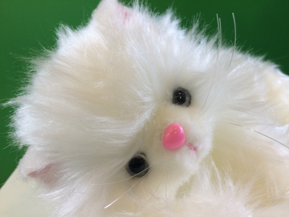 ピンク鼻のクタクタのペルシャ猫（大） ぬいぐるみ ゴリ 通販 6478309